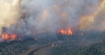 Aucune région n’est épargnée : la destruction de la forêt par les flammes s’accélère dans le monde entier