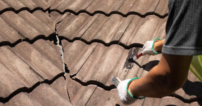 Si vous apercevez ce problème sur votre toiture, mieux vaut agir vite