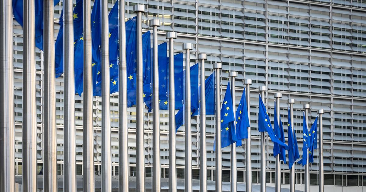 Loi Duplomb : ce que dit l’UE sur l’acétamipride, interdit en France mais toujours autorisé par Bruxelles
