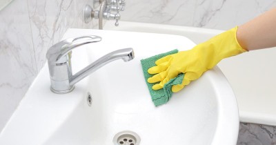 Fabriquez vos propres produits ménagers grâce aux plantes de jardin