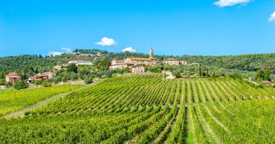 «À défaut de soutenir nos vignerons, l’UE préfère subventionner leurs concurrents»