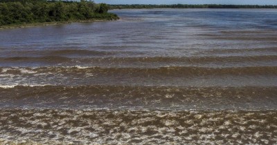 Brésil : un journaliste, en plein reportage en direct, marche sur le corps d’une jeune fille portée disparue
