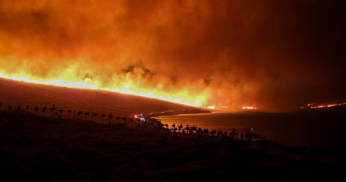 Turquie : onze ouvriers forestiers tués en combattant un incendie dans l’ouest du pays