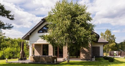 Ces 6 arbres à ne surtout pas planter trop près de sa maison