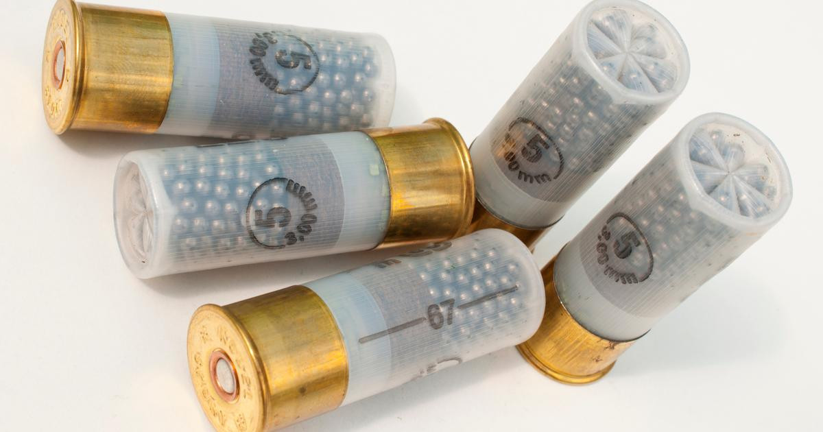 Interdiction prochaine du plomb pour la chasse au Royaume-Uni