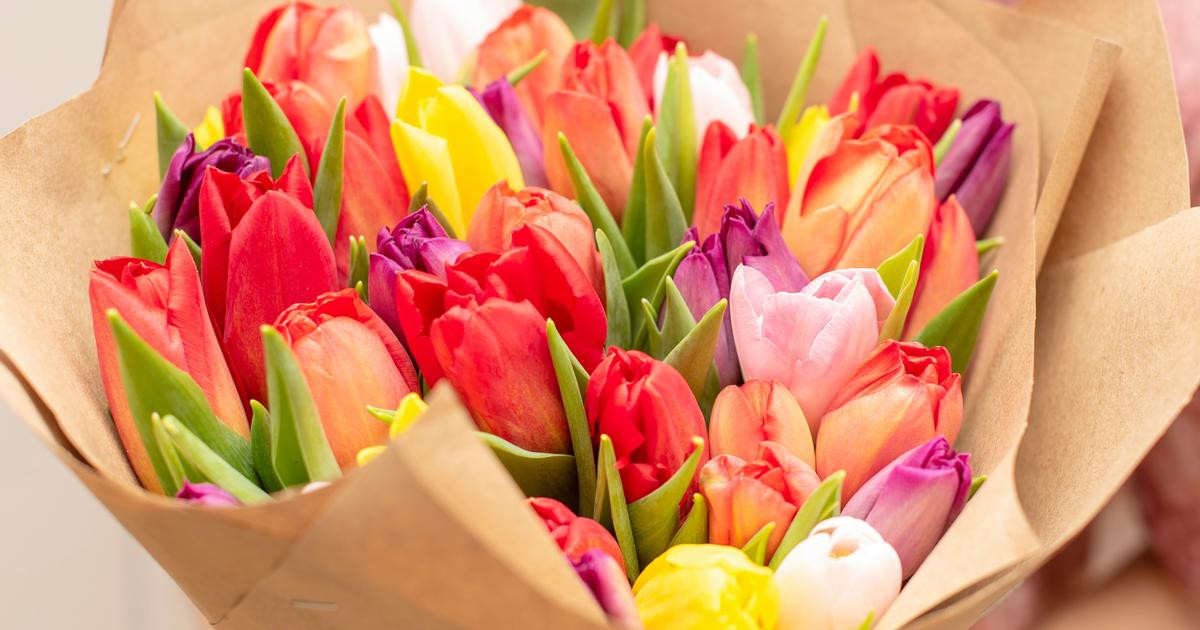 Un beau bouquet à moins de 20€ ? C’est possible en choisissant ces superbes fleurs
