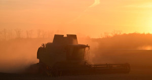 En France, la récolte abondante de blé attendue cache une série de calamités