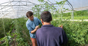 Dans la Vienne, les détenus préparent leur réinsertion à la ferme