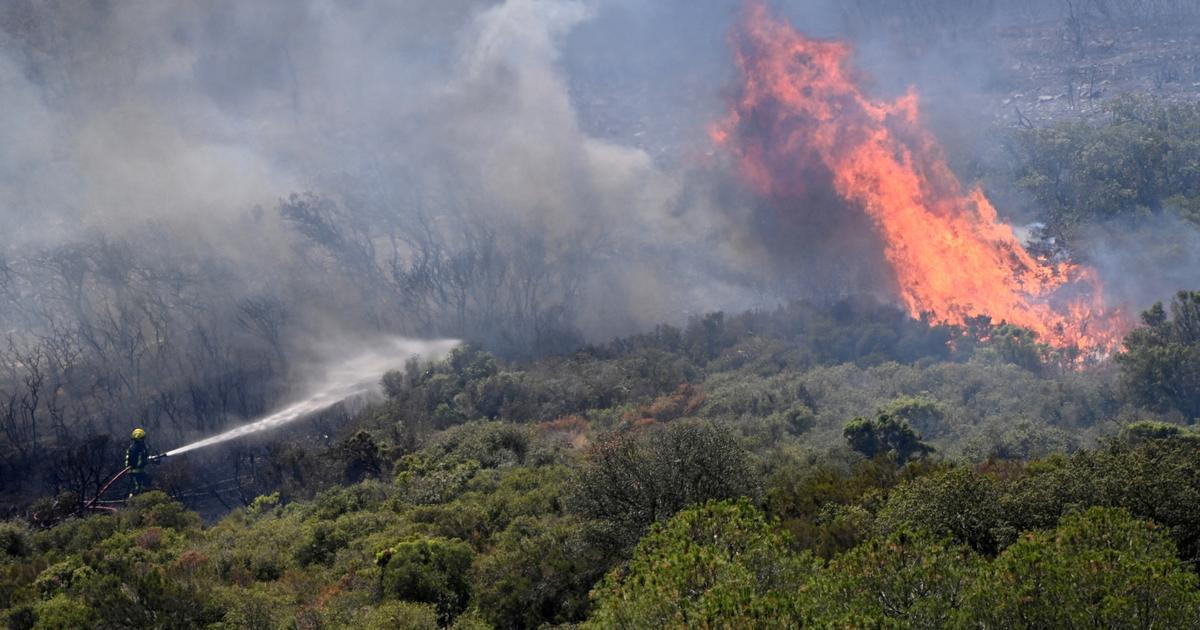 Feux de forêt : trois départements en vigilance rouge pour un risque accru d’incendies