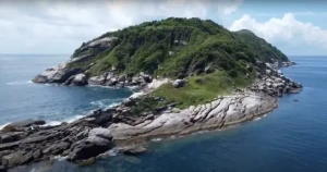 جزيرة الثعابين: خطر قاتل قد يحمل مفاتيح علاج أمراض معقدة!