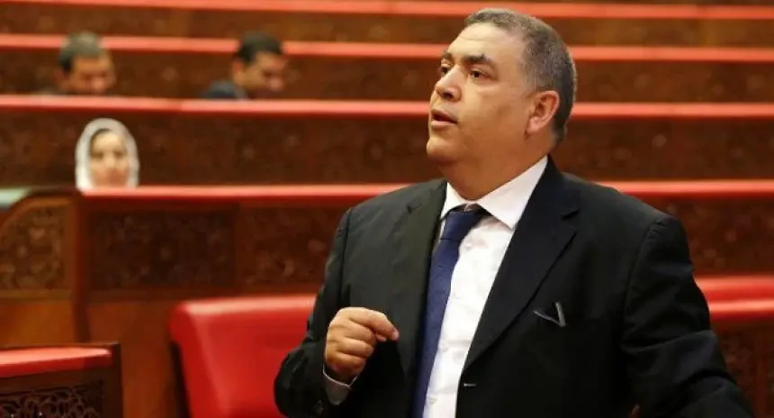 لفتيت: هجمات إعلامية ممنهجة تستهدف تشويه صورة المغرب عبر ملف الكلاب الضالة