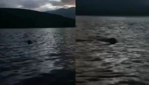 عيون تلمع في الظلام تثير الذعر في بحيرة بريطانية.. والحقيقة تكشف مفاجأة!