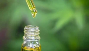 مستخلص علاجي من الماريغوانا يضاعف إنزيمات الكبد رغم الجرعات المنخفضة