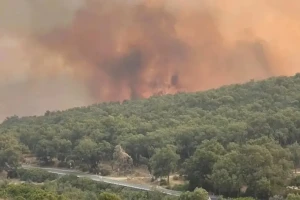 "المياه والغايات" تكشف خرائط المناطق الأكثر عرضة للحرائق بالمملكة