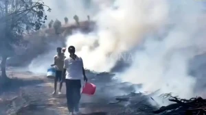 شفشاون.. حريق غابة "كرانخا" يتسبب في نفوق أزيد من 100 رأس غنم بعد التهام النيران لحظيرة كاملة