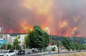 المعطيات الرسمية تكشف عن آخر مستجدات عمليات السيطرة على حريق غابة دردارة (فيديو)