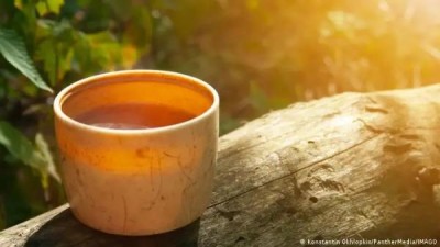 الماتشا بين الفوائد الصحية والجدل العلمي: هل يقي من السرطان؟