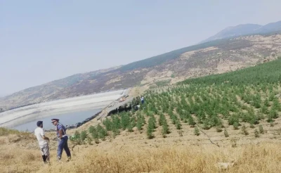 صعقة كهربائية من طاقة شمسية تنهي حياة شاب بإقليم شفشاون