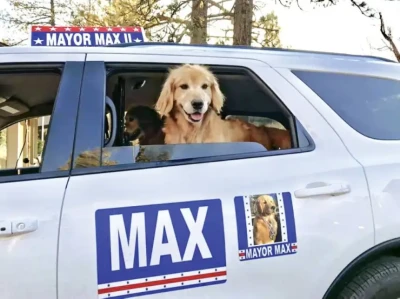 كلب "غولدن ريتريفر" يتولى منصب العمدة في بلدة أمريكية منذ 12 عاماً