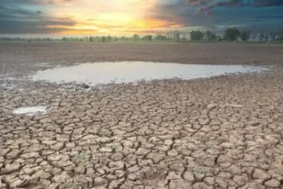 كوكبنا في خطر...علماء يحذرون من فقدان خُمس الأراضي الرطبة في العالم