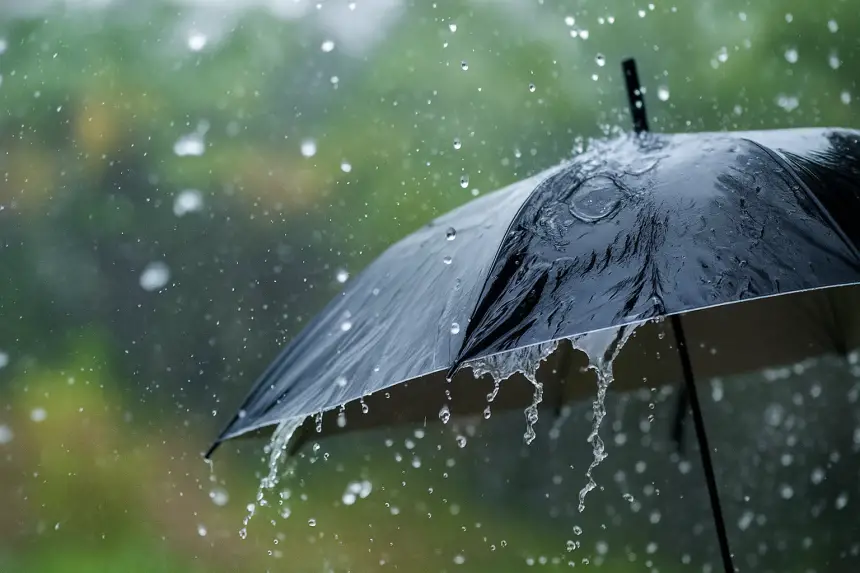 مقاييس التساقطات المطرية في 24 ساعة الأخيرة