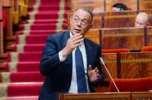 لقجع يؤكد شفافية الدعم الاجتماعي بقبول 98.4% منها ملفات في يونيو ويستعرض جزء من قانون مالية 2026