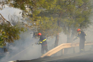 الإمارات تعزي قبرص بضحايا حريق غابات أوقع قتيلين