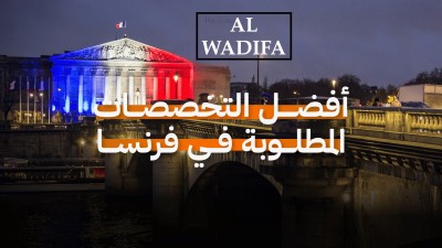ما هي أفضل التخصصات للدراسة في فرنسا للطلاب الدوليين؟ 🇫🇷