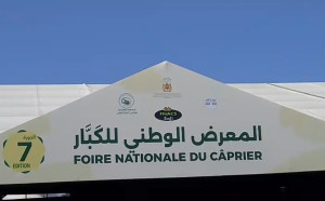 مهرجان الكبار بآسفي… احتفالية باهظة على حساب الفلاحين المهمشين !!