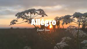 Allégro - A sad classical music for relaxation and meditation