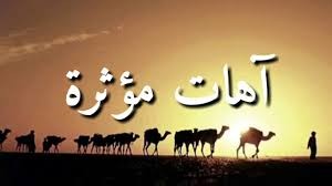 نشيد وطني الحبيب _ بدر السلمي _مؤثرات