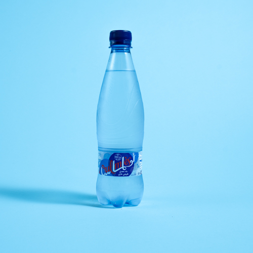 Eau gazeuse Oulmes 0.5L