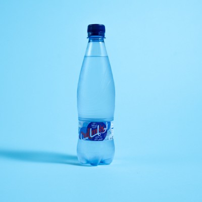 Eau gazeuse Oulmes 0.5L