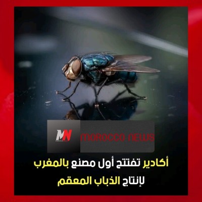 🔴باشراف من أخنوش… أكادير تفتتح أول مصنع بالمغرب لإنتـــاج الذباب المعقم 🪰🪰